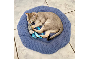 Preview of CROCHET PATTERN Dog Bed Pet Bed Cat , Easy Doughnut , Shaped Pet Bed , PDF Croch