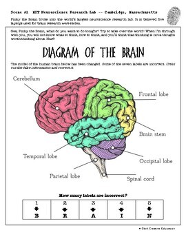 Fake brain 3 Diagram