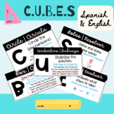CUBES Math Poster Display in Spanish & English - Bilingual