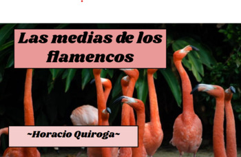 Preview of CUENTO: Las medias de los flamencos  Diapositivas para enseñar