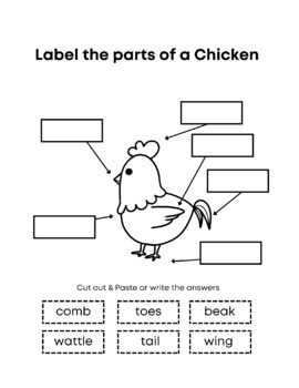 label animal parts