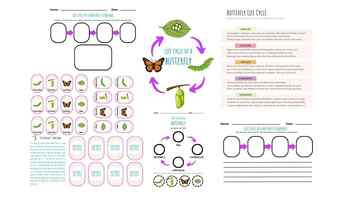 Preview of CUTE! FUN! Butterfly Life Cycle Lesson Plan Outline, Printables, Game & MORE!