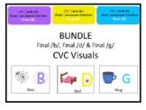 CVC Apraxia & Phonology Visuals [Final Consonant Deletion: