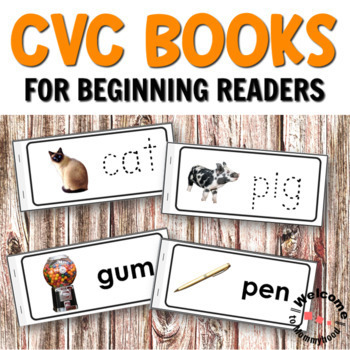 Preview of CVC Books Short Vowel Sounds - Books for Beginning Readers