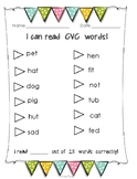 CVC Checklist  Color & B+W versions