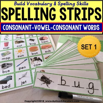 Preview of CVC Consonant Vowel Consonant Vocabulary Spelling Strips AUTISM RESOURCE