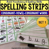 CVC Consonant Vowel Consonant Vocabulary Spelling Strips A