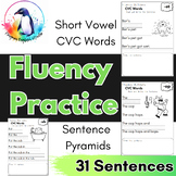 CVC Decodable Fluency Pyramids for Reading and Writing