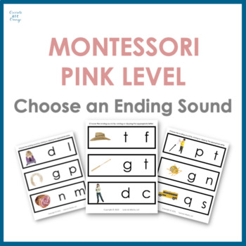 Preview of  [Pink Level] Montessori Language - Ending Sound