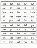 CVC, Non-Sense Words, Alphabet & Sight Words (great for dibels)