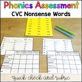 CVC Phonics Assessment Quick Check