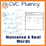 CVC Phonics Fluency - Winter Themed