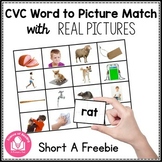 CVC Picture Word Matching Cards with Real Pictures FREE SAMPLE