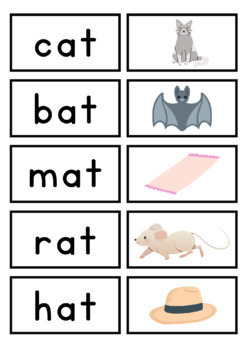 CVC Read and Match Activity! Word and Picture Matching Activity!