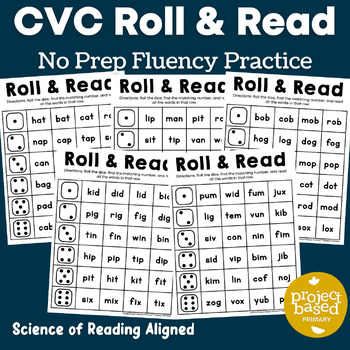 CVC Roll and Read No Prep Pack by Project Based Primary LLC | TPT