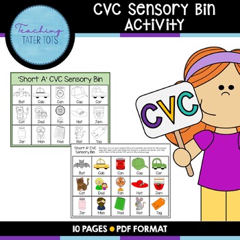 Preview of CVC Sensory Bin Activity