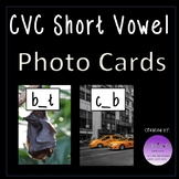 CVC Short Vowel Photo Cards