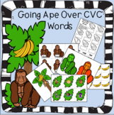 CVC Short Vowel Word Family Decoding Games and Centers