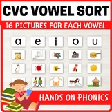 CVC Vowel Sort (80 Pictures to Choose From)