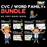 CVC / WORD FAMILY BUNDLE