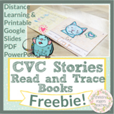 CVC Word Family Emergent Reader Books Decodable Reader Booklets Worksheets
