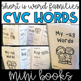 CVC Words Activities: Short U Mini Books