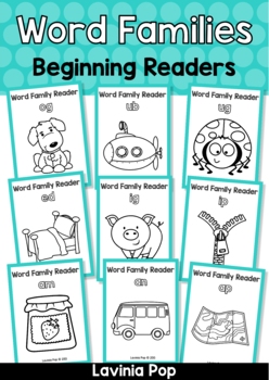 Preview of Word Family Beginning Readers