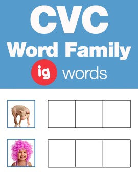 Preview of CVC Word Family -ig Word Family Workbooks and Games