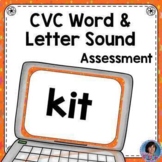 CVC Word List Assessment & Letter Sound Assessment for Goo