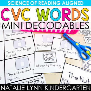Preview of CVC Word Mini Decodables Science of Reading Kindergarten Decodable Readers