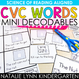 CVC Word Mini Decodables Science of Reading Kindergarten D