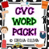 CVC Word Packet - Common Core Standards and Assessments Included