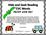 CVC Word Read,Find,Write and Color