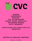 CVC Word & Sentence Practice