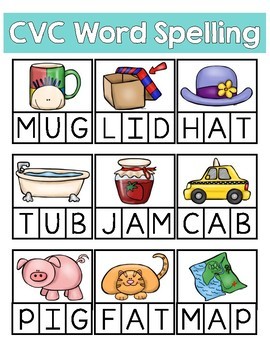 CVC Word Spelling Adapted Activity by SPEDitorials | TpT