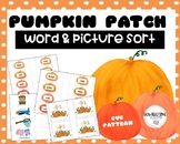 CVC Word and Picture Sort Activity- Pumpkin Patch Theme! 