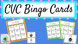 CVC Words Bingo Game