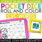 CVC Words Centers Pocket Dice | CVC Short Vowels Literacy 