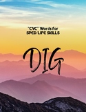 CVC Words (DIG) - SPED/LIFE SKILLS