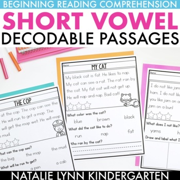 Preview of CVC Words Decodable Passages Kindergarten Reading Comprehension
