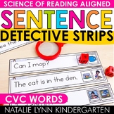 CVC Words Decodable Sentences Read and Cover Detective Str