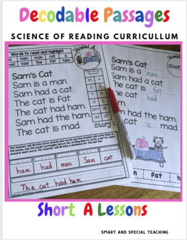 Preview of CVC Words Decodable Stories Short A Kindergarten RTI
