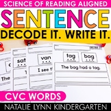 CVC Words Decode and Read Decodable Sentences Worksheets