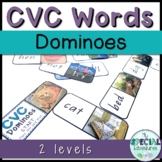 CVC Words Dominoes