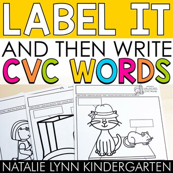 Preview of CVC Words Label and Write Science of Reading Worksheets
