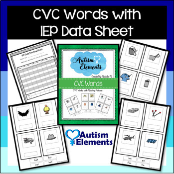 CVC Picture ~ word ~ Boards ~ Ideal for ASD~SEN~Schools~Pre-School~Autism~ 