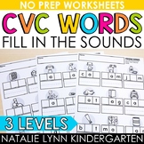 CVC Words Missing Sounds Fill in the Sound Science of Read