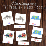 CVC Words Phonics 3 Part Cards | Montessori and Charlotte 