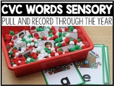 CVC Words Sensory Centers Through the Year