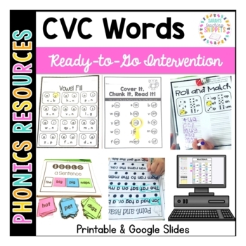 Preview of CVC Words SoR Printable Intervention